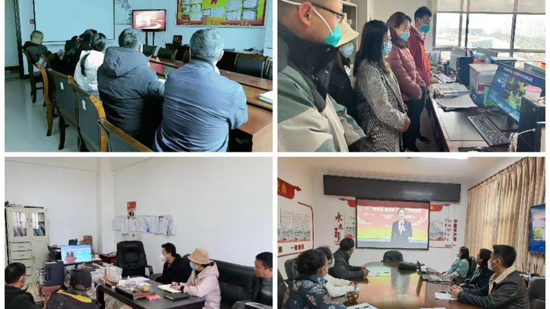 高校网络教学设计流程：揭秘高效教学背后的步骤